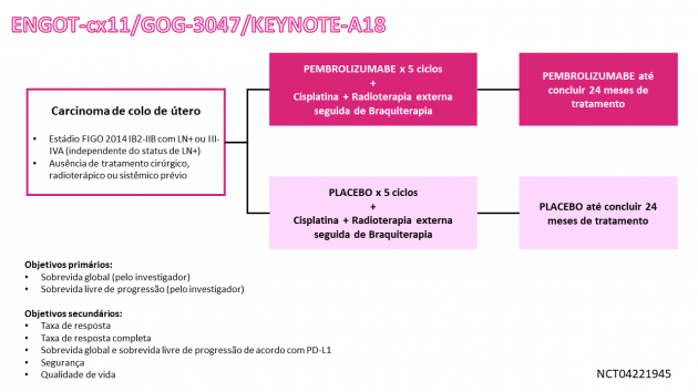 24_Noticia446_Fig01