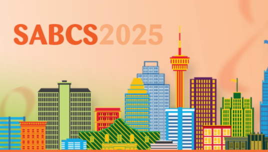 <p><strong>Videos doblados</strong></p>